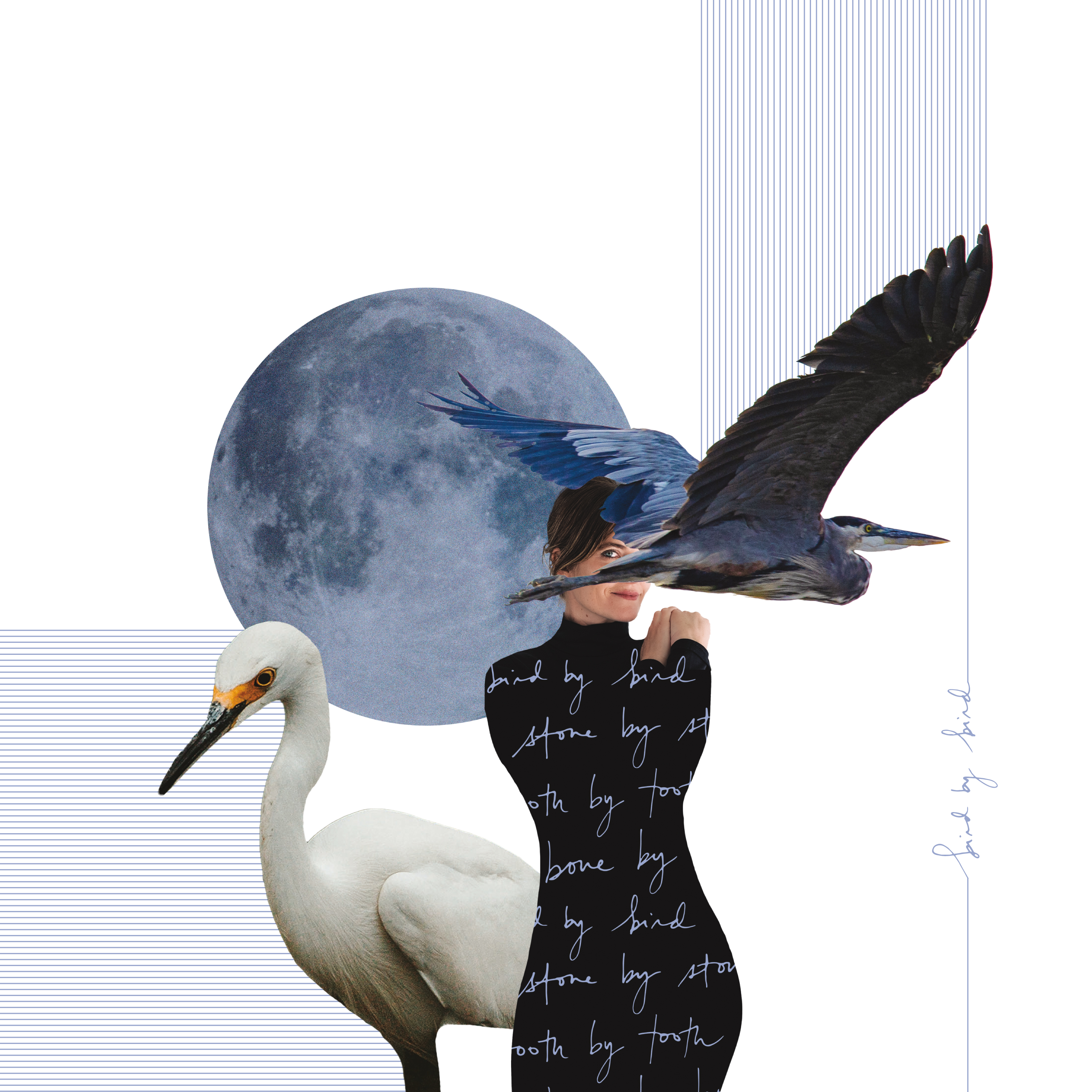 Bird By Bird